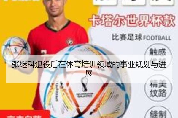 张继科退役后在体育培训领域的事业规划与进展